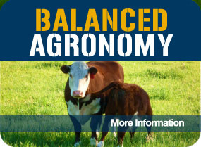 Balanced Agronomy